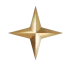 Elegant gold star icon with metallic finish on transparent background.